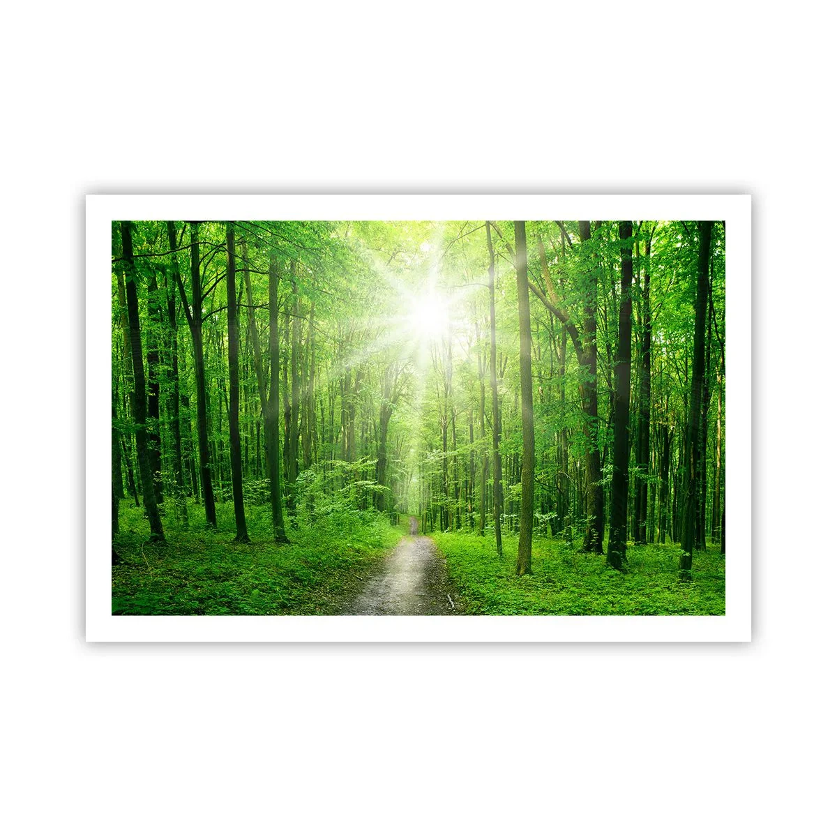 Poster - Green Cathedral - 91x61 cm