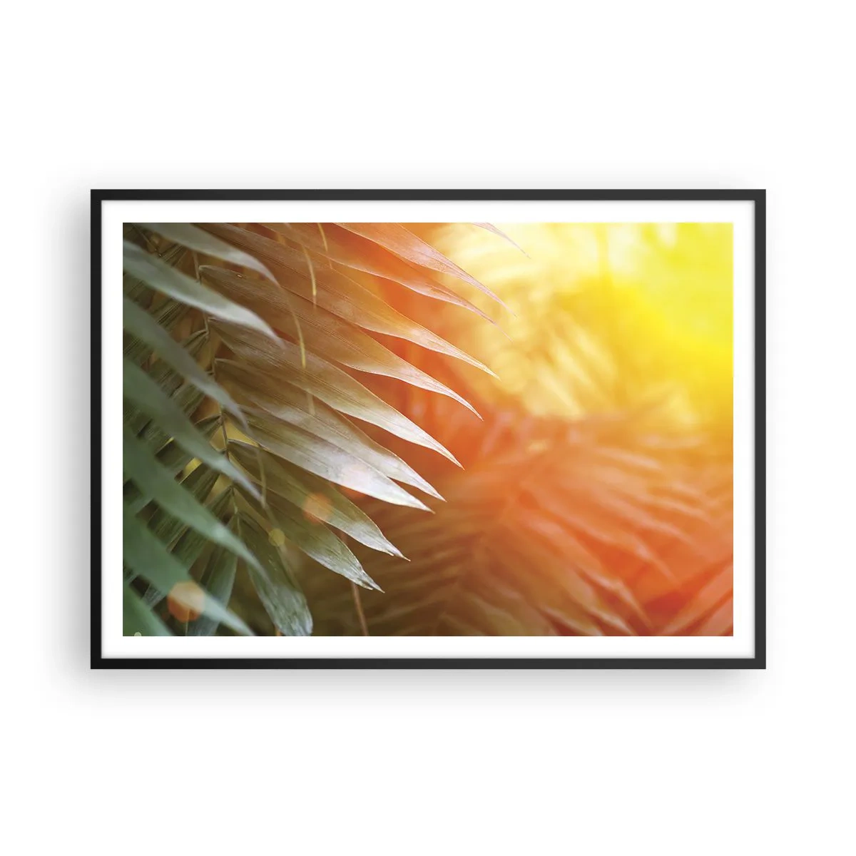 Poster in black frame - Morning in the Jungle - 100x70 cm
