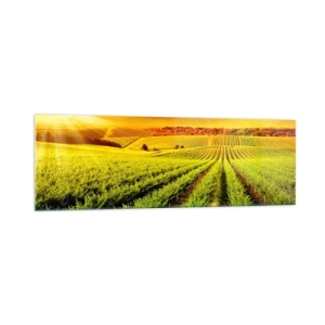 Glass picture - Under Australian Sun - 160x50 cm