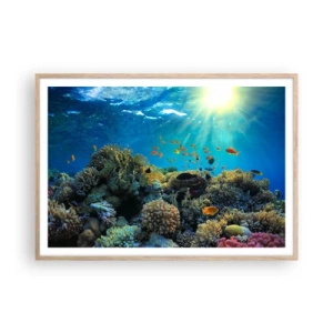 Poster in light oak frame - Underwater Treasures - 100x70 cm