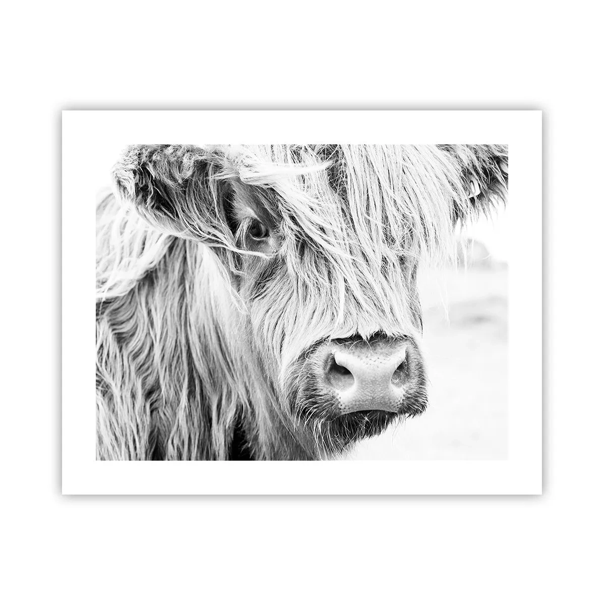 Poster - Scottish Wilderness - 50x40 cm