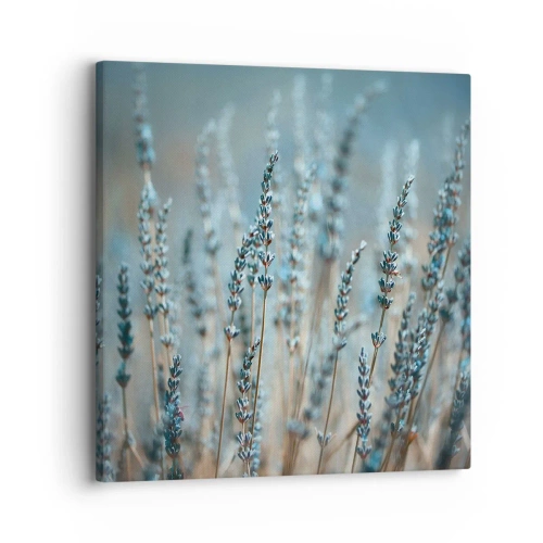 Canvas picture - Fragrant Grass - 30x30 cm