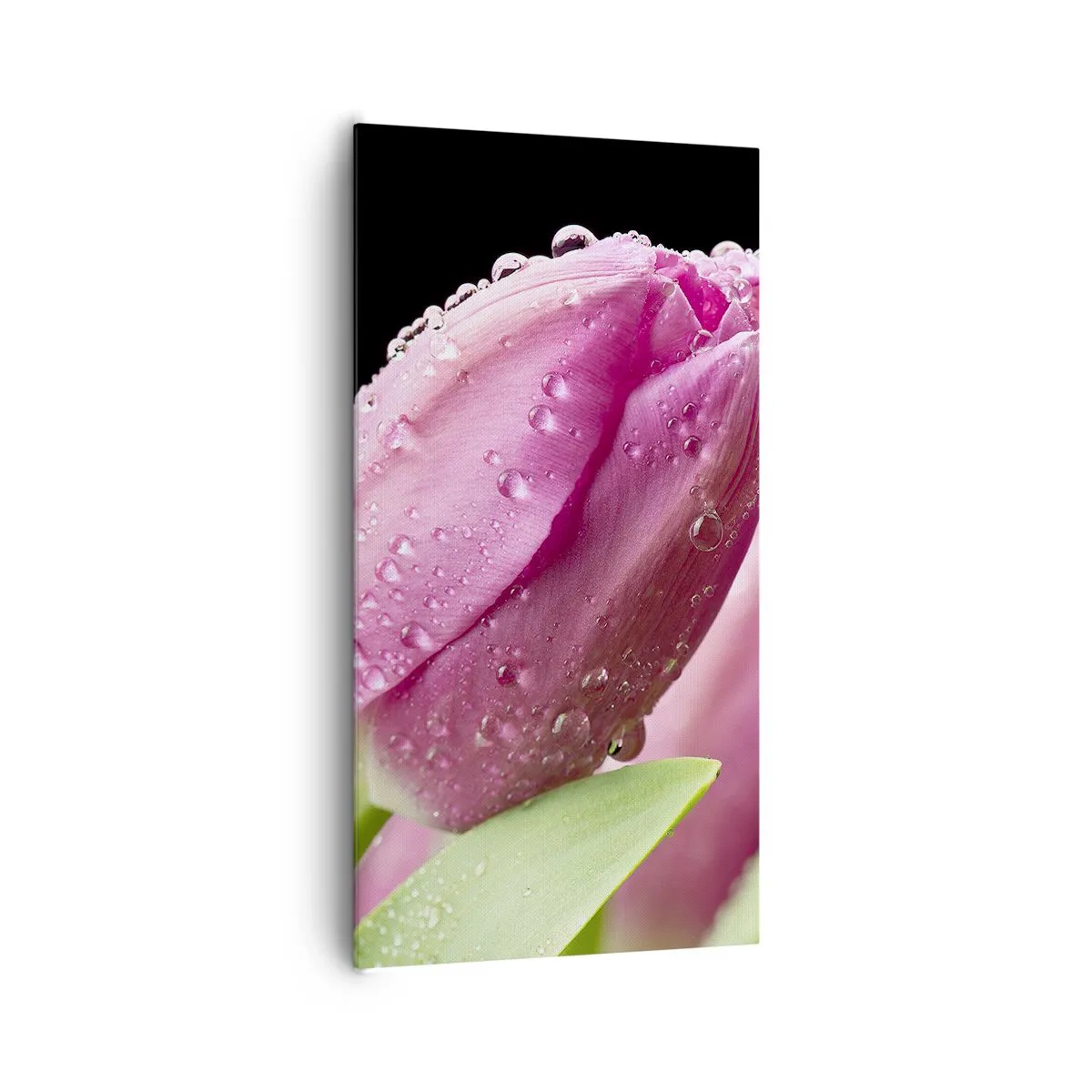 Canvas picture - Lilac Dream in a Dew - 65x120 cm