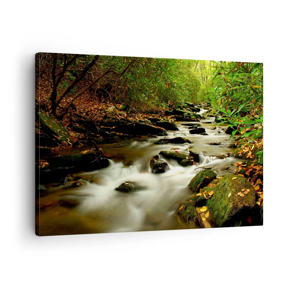 Canvas picture - A forest stream flowing between stones surrounded by greenery - 70x50cm - Like Live Wire - Modern wall decoration for the living room and bedroom ARTTOR