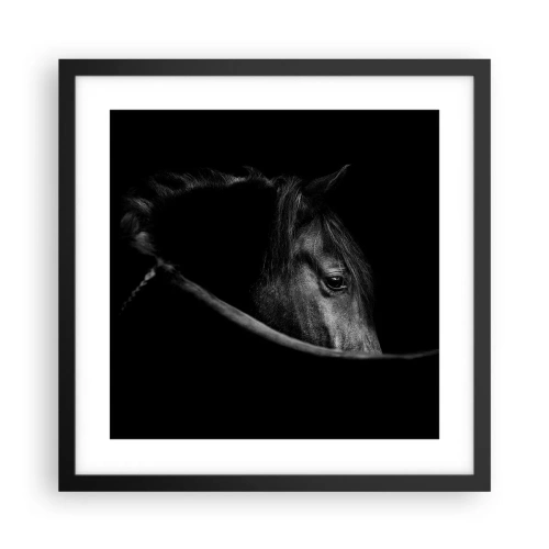 Poster in black frame - Black Prince - 40x40 cm
