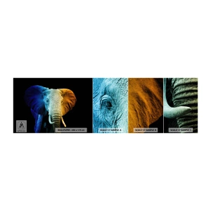 Photo Wallpaper Sample Standard Eco - Eccentric, Not a Weirdo - Abstraction, Elephant, Animals - 100x30 cm