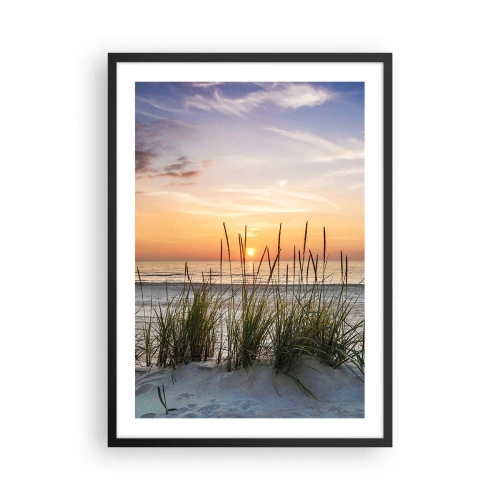 Poster in black frame - Beach with vegetation at sunrise - 50x70cm - Look, Think, Feel - Modern wall decoration for the living room and bedroom ARTTOR
