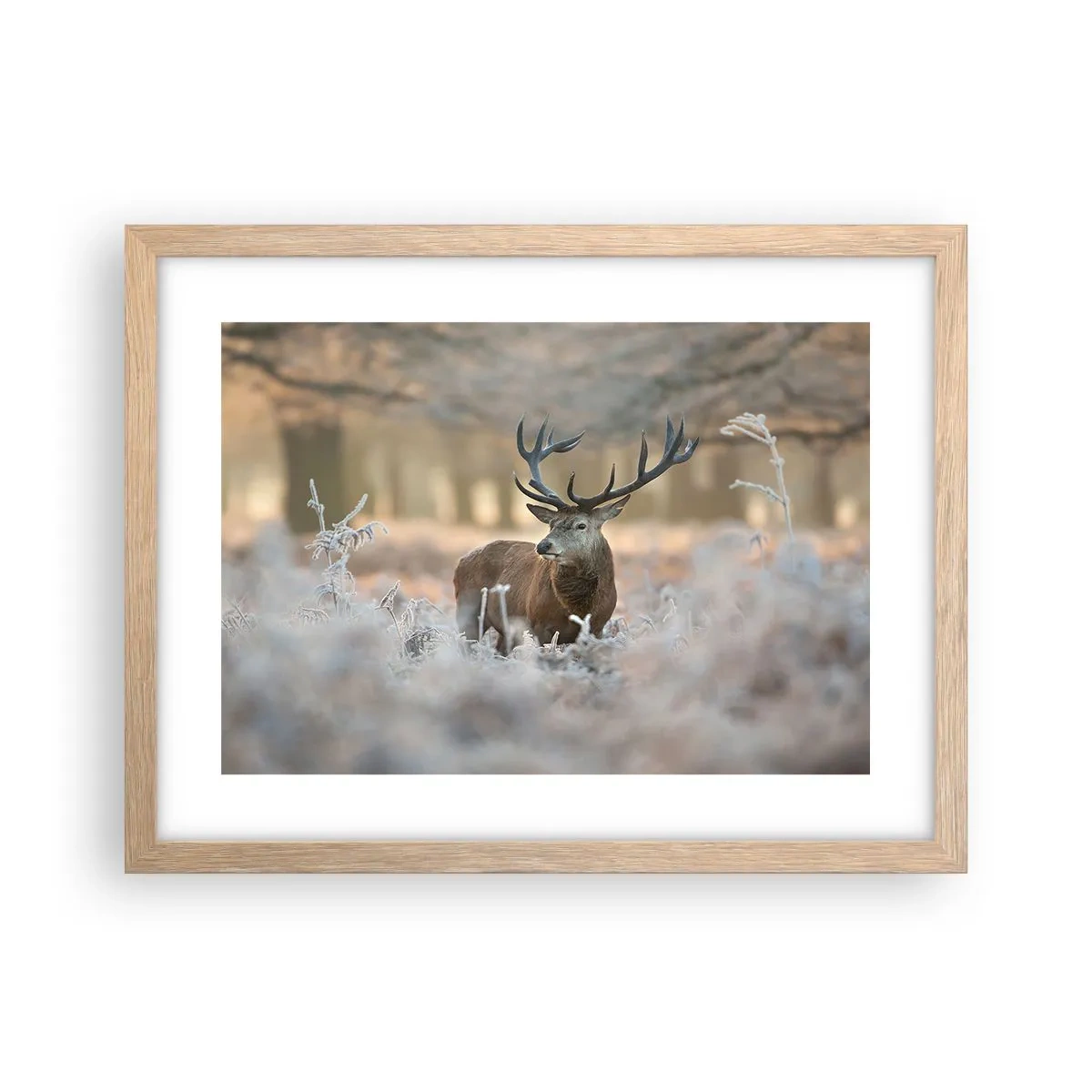 Poster in light oak frame - Chilly Morning - 40x30 cm