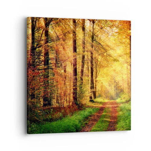 Canvas picture - Forest Golden silence - 40x40 cm