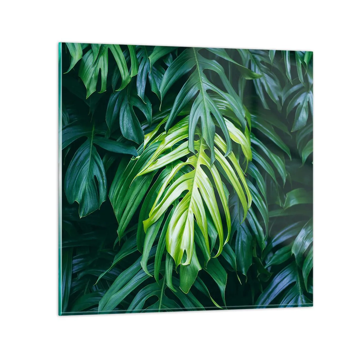 Glass picture - Immerse Yourself in Freshness - 60x60 cm