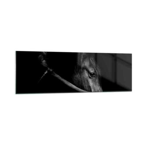 Glass picture - Black Prince - 160x50 cm