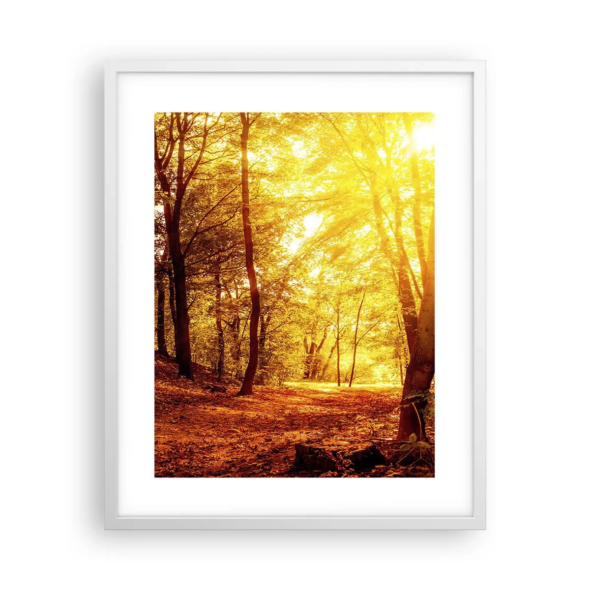 Poster in white frmae - Towards Golden Plain - 40x50 cm