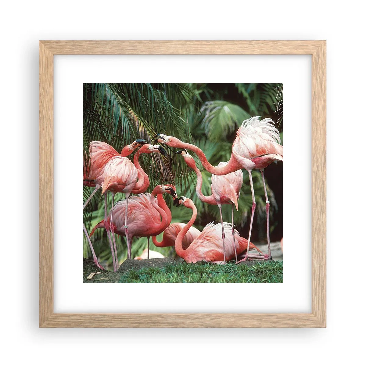 Poster in light oak frame - Afternoon Gossip - 30x30 cm