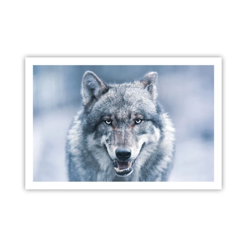 Poster - Will You Take Up the Challenge? - 91x61 cm