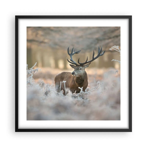 Poster in black frame - Chilly Morning - 50x50 cm
