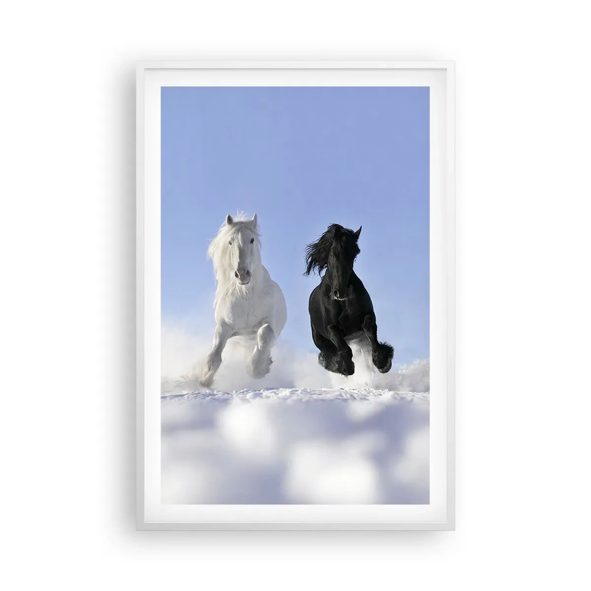 Poster in white frmae - Black and White Gallop - 61x91 cm