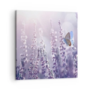 Canvas picture - Kiss of a Butterfly - 60x60 cm