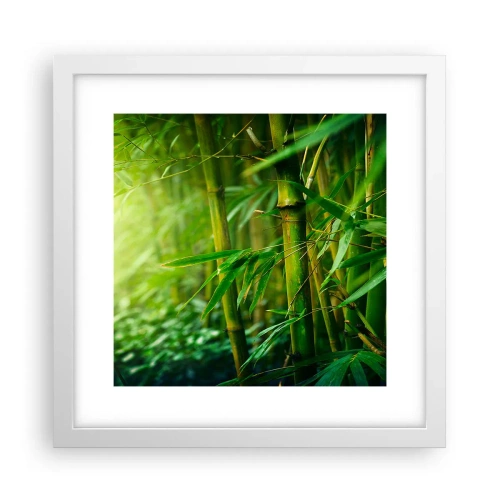 Poster in white frmae - Getting to Know the Green - 30x30 cm