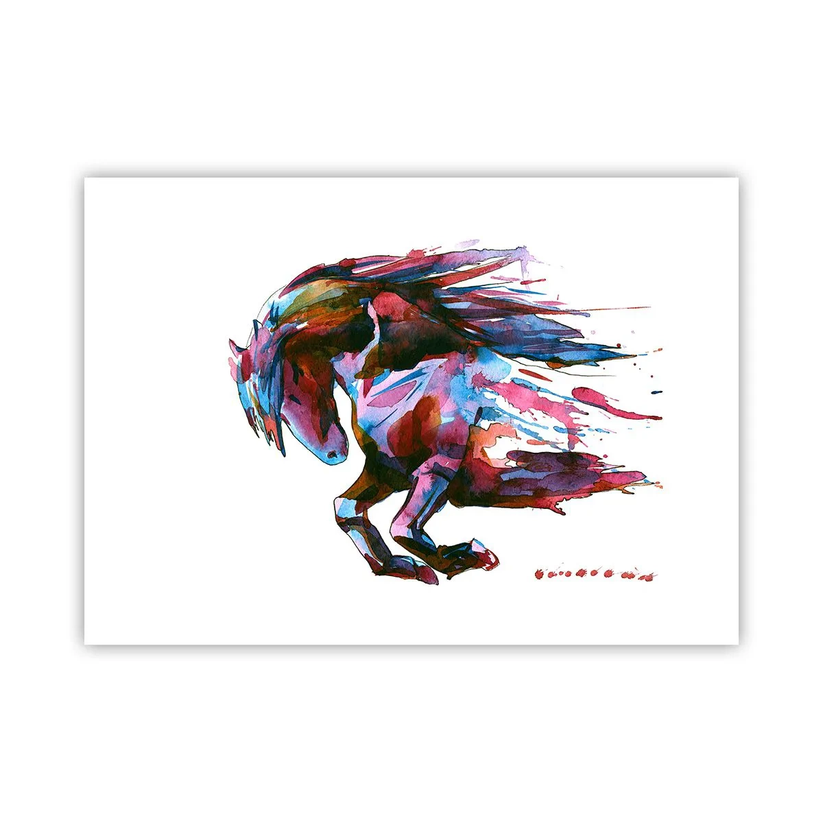 Poster - In Elation - 70x50 cm