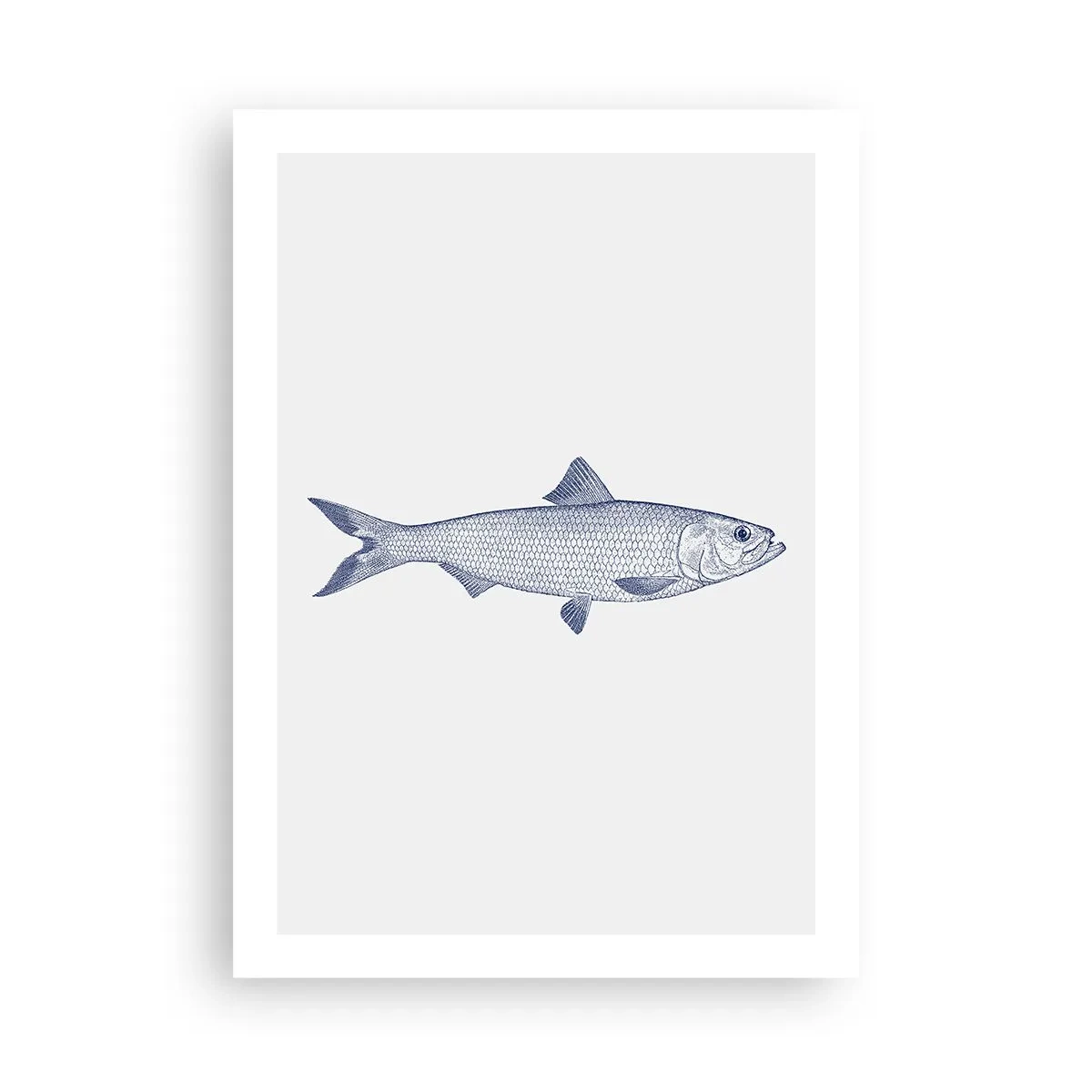 Poster - Greetings From Northern Seas - 50x70 cm