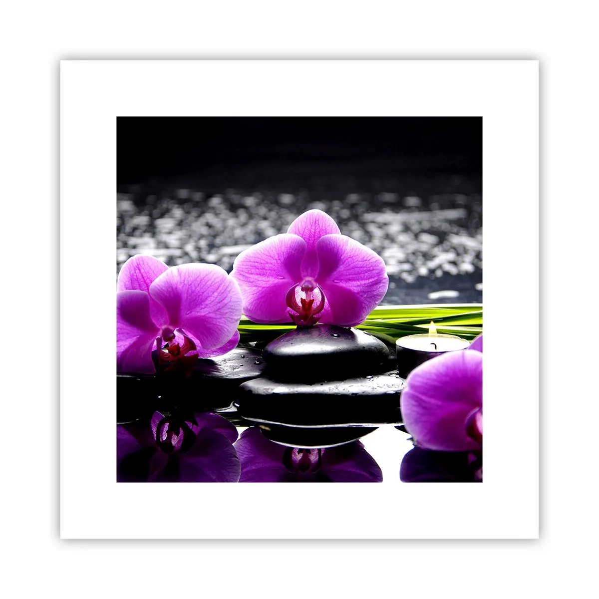 Poster - Drowning in Peace and Quiet - 30x30 cm