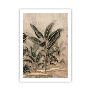 Poster - Engraving in Colonial Style - 50x70 cm