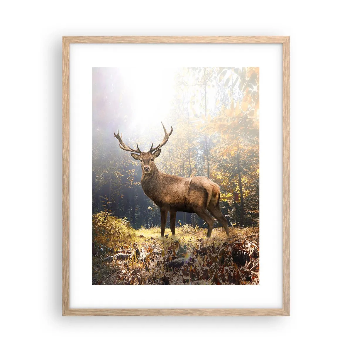 Poster in light oak frame - In Full Majesty - 40x50 cm