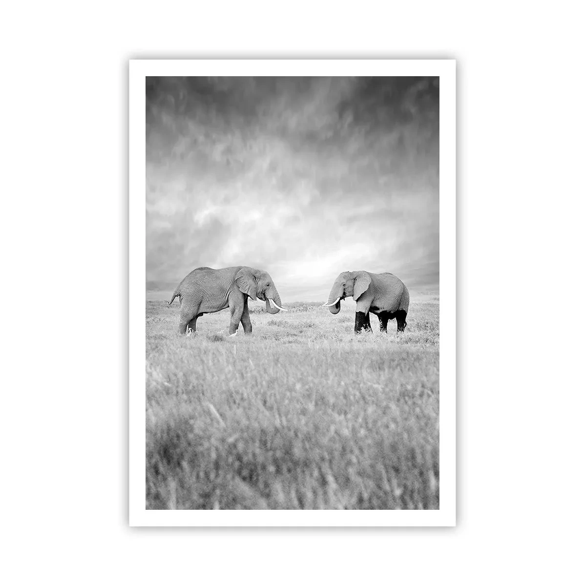Poster - Grey Is Beautiful - 70x100 cm