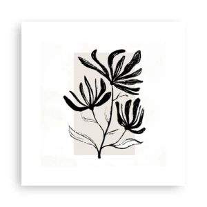 Poster - Sketch for a Herbarium - 30x30 cm
