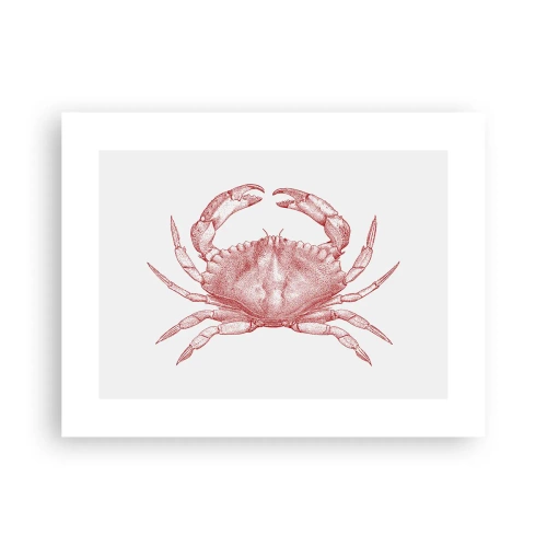 Poster - Crab Like No Other - 40x30 cm