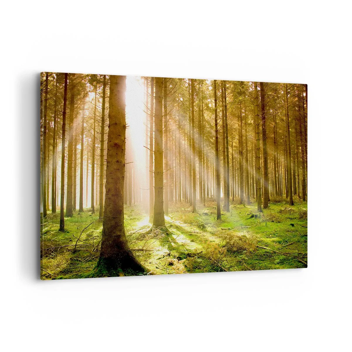 Canvas picture - Elfs Will Be Here Soon - 100x70 cm