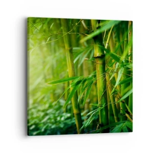 Canvas picture - Getting to Know the Green - 40x40 cm