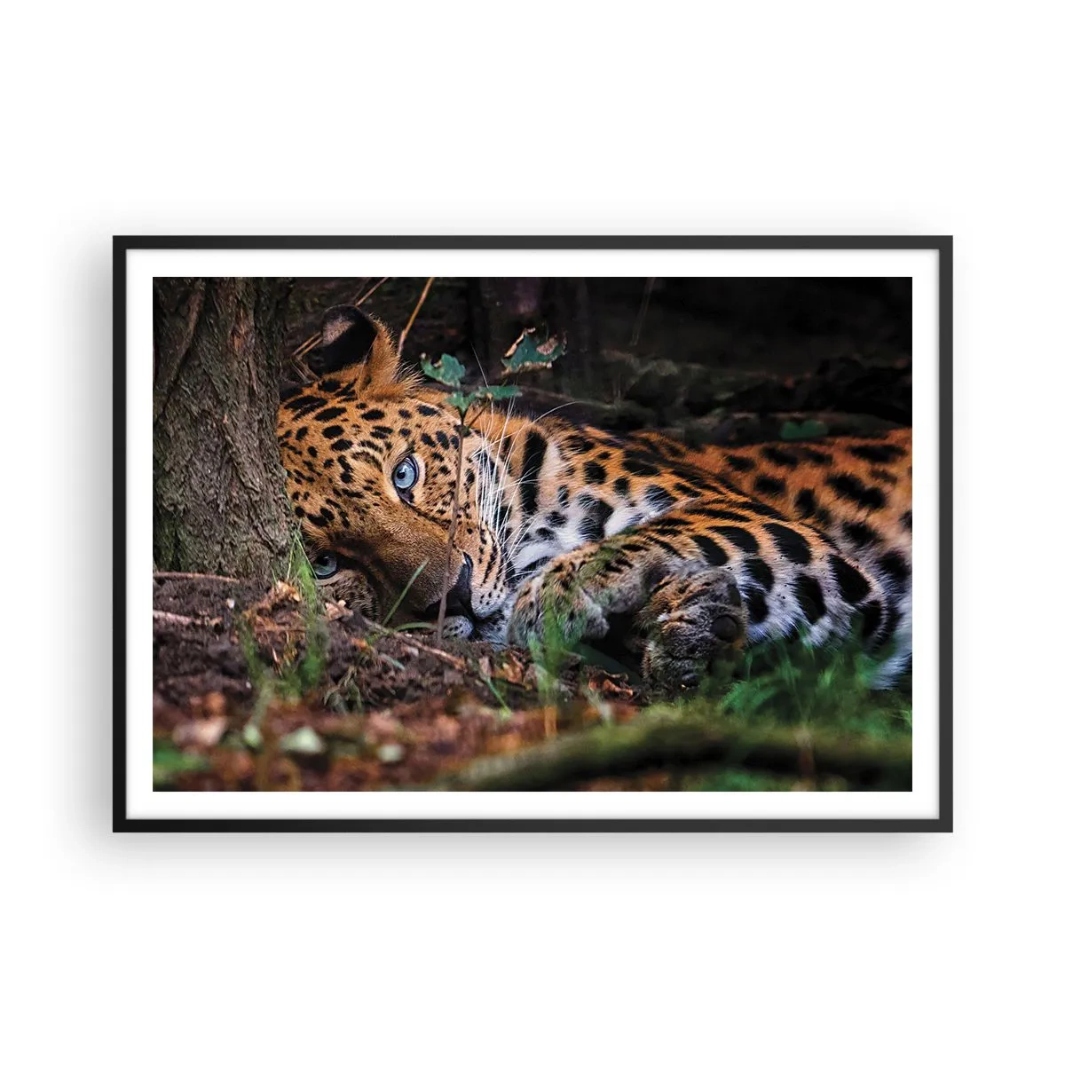 Poster in black frame - Trust Me - 100x70 cm