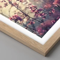 Light Oak