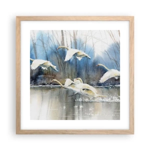 Poster in light oak frame - Like in a Fairy Tale about Wild Swans - 40x40 cm