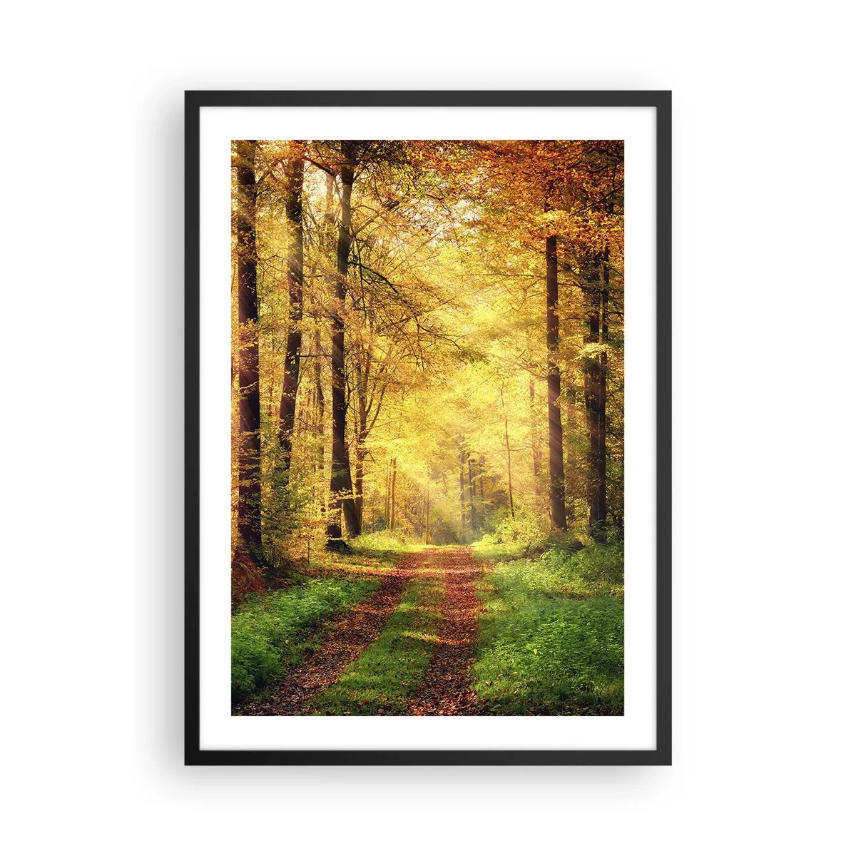Poster in black frame - A forest path in the light of the golden autumn sun - 50x70cm - Forest Golden silence - Modern wall decoration for the living room and bedroom ARTTOR
