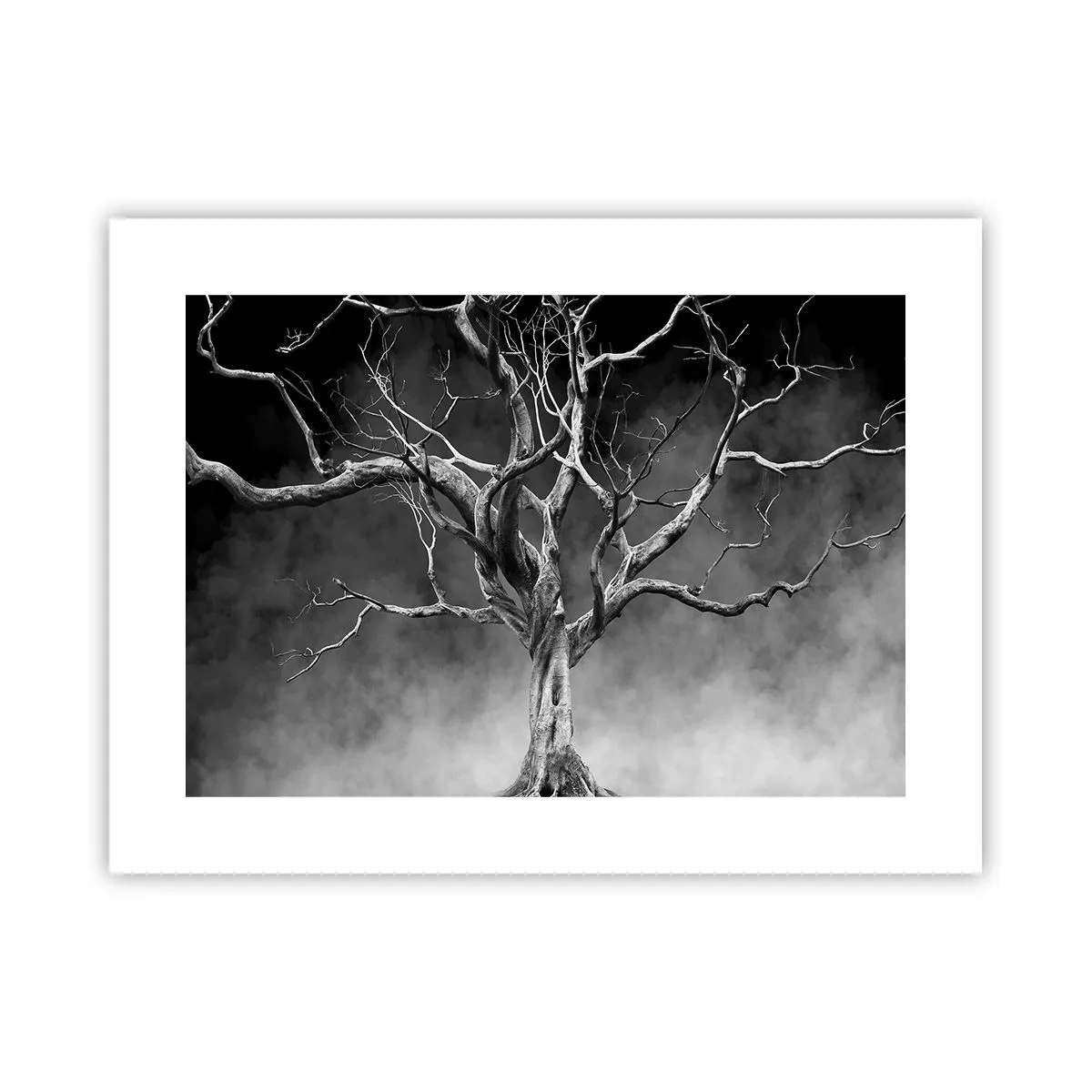Poster - Primordial and Sacred - 40x30 cm