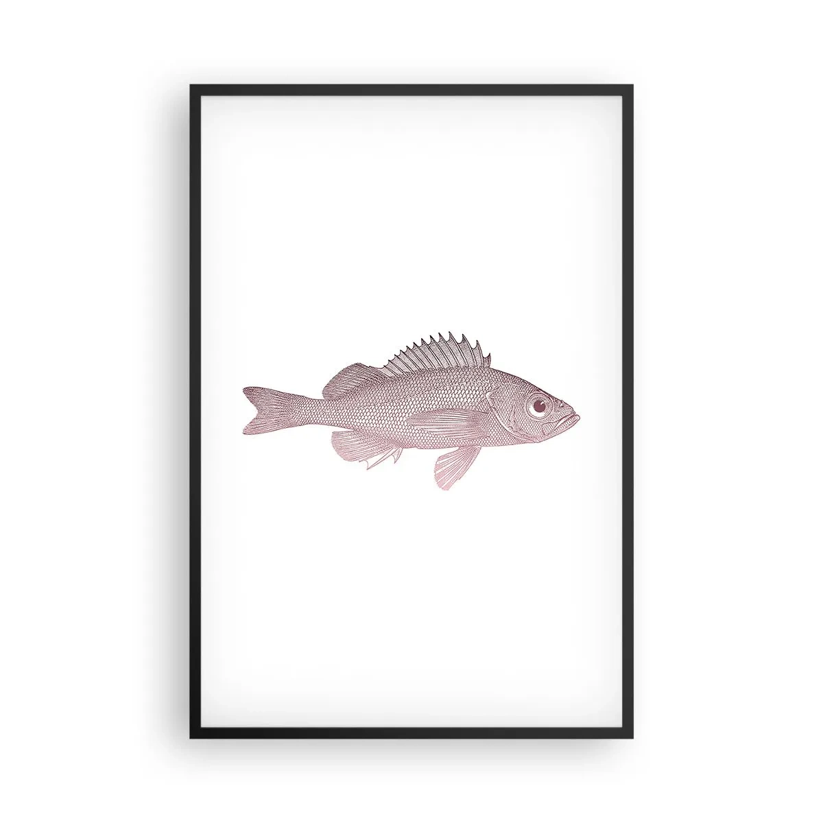 Poster in black frame - Big-eyed Fish - 61x91 cm