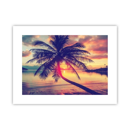 Poster - Evening under the Palm Trees - 40x30 cm