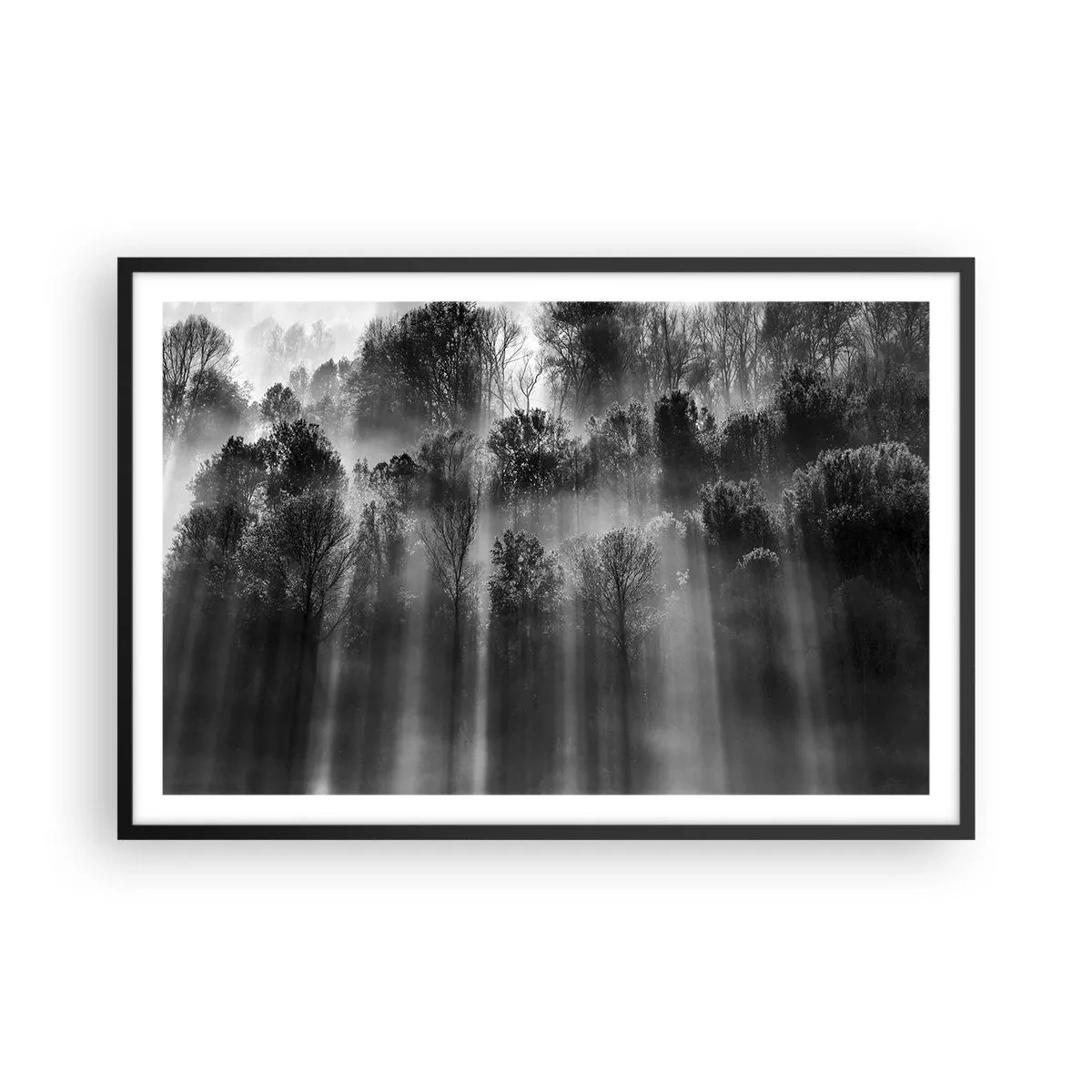 Poster in black frame - In the Streams of Light - 91x61 cm