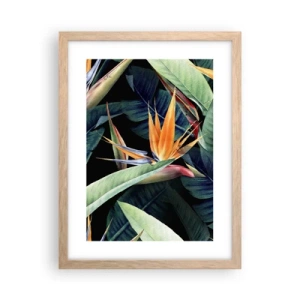 Poster in light oak frame - Flaming Flowers of the Tropics - 30x40 cm