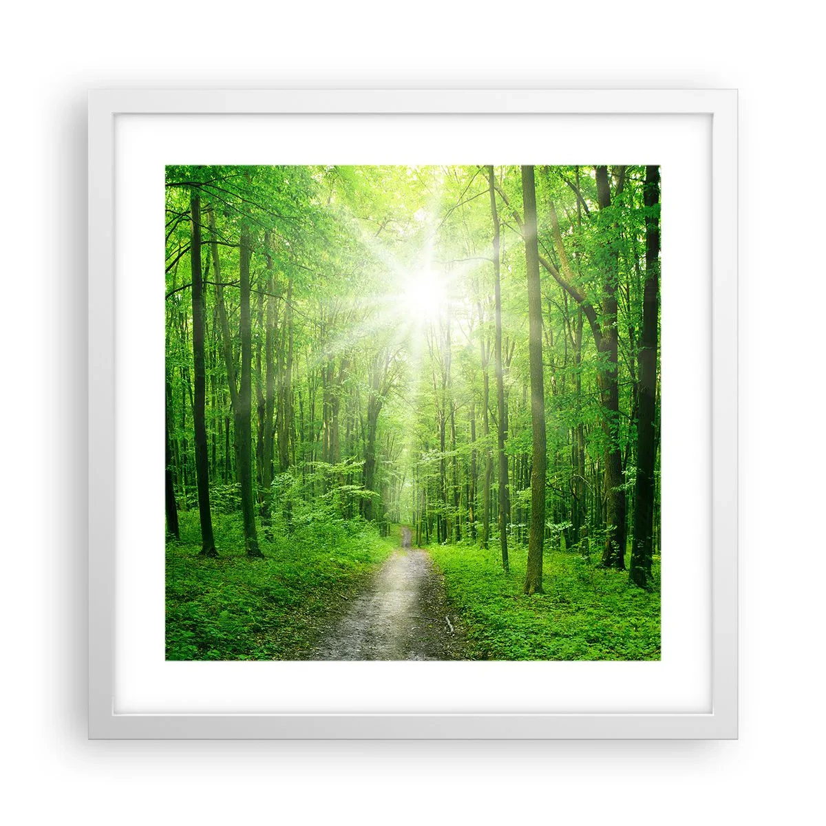 Poster in white frmae - Green Cathedral - 40x40 cm
