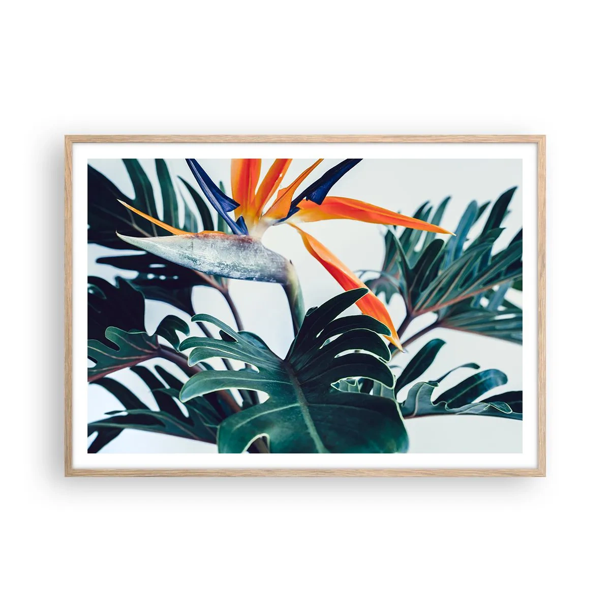 Poster in light oak frame - Birdy Bush - 100x70 cm
