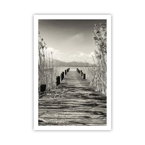 Poster - In the Grass - 61x91 cm