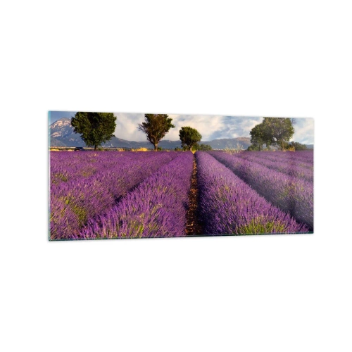 Glass picture - Lavender Fields - 120x50 cm