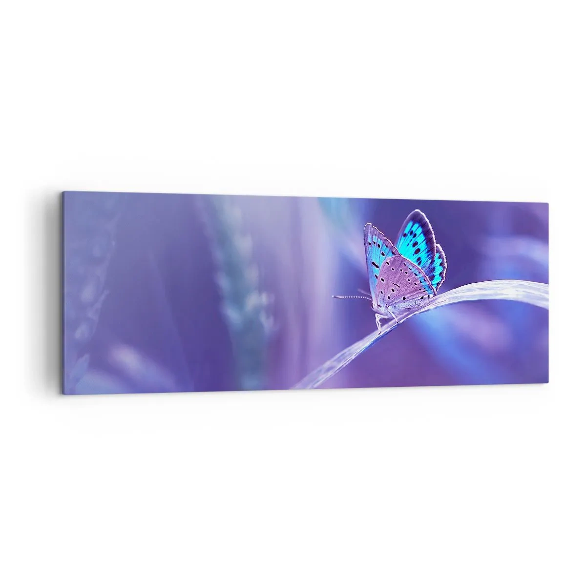 Canvas picture - Jewel of Nature - 140x50 cm