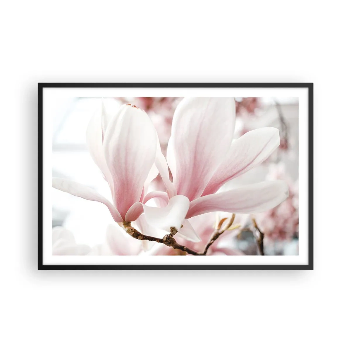 Poster in black frame - Immensity of Tenderness - 91x61 cm