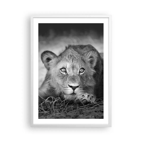 Poster in white frmae - Royal Puppy - 50x70 cm