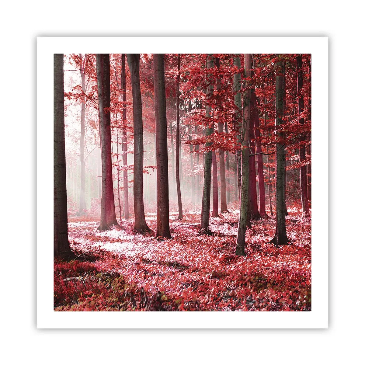 Poster - Red Equally Beautiful - 60x60 cm
