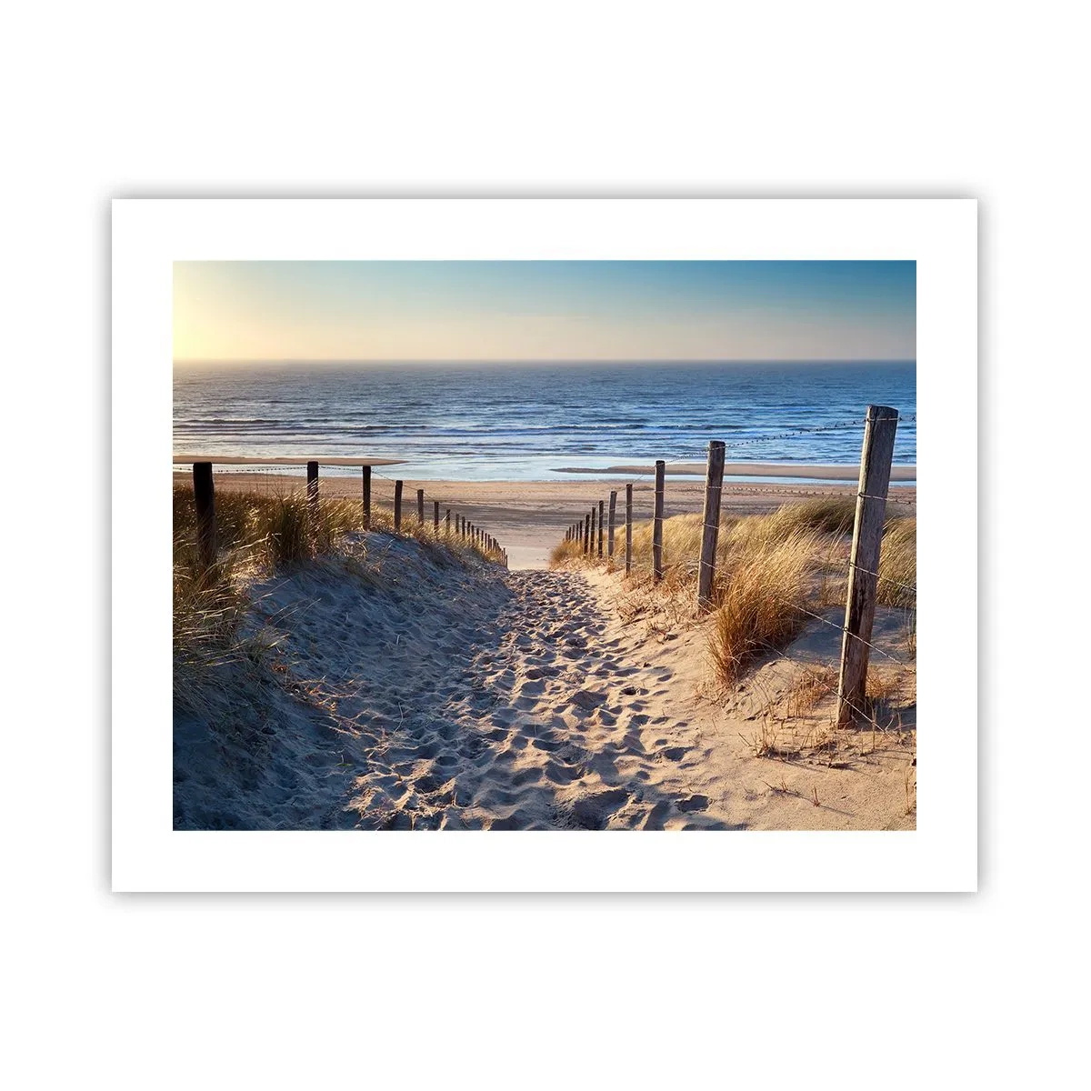 Poster - Sound of the Sea, Singing of the Birds, Wild Beach among Grass - 50x40 cm